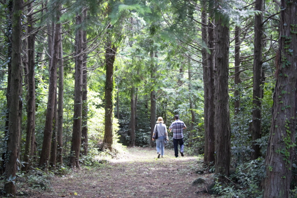 비대면관광지 100선_신풍리 밭담길_제주. 사진=한국관광공사 제공