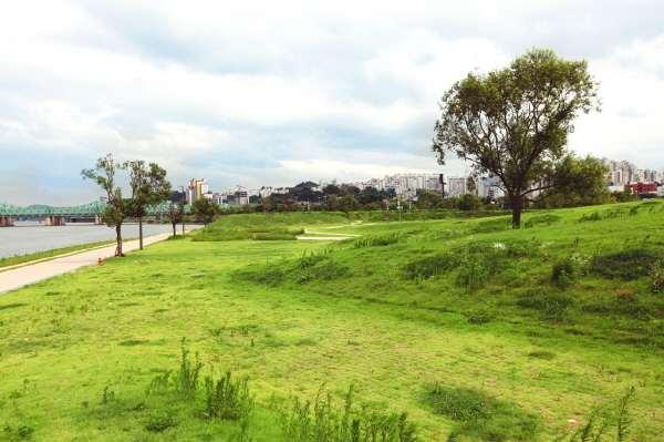 여의도 한강공원. 사진=한국관광공사