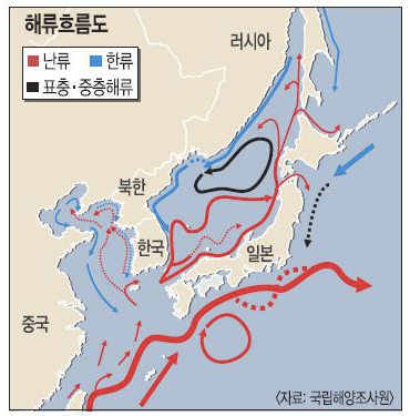 한국, 일본 근해 해류 흐름도