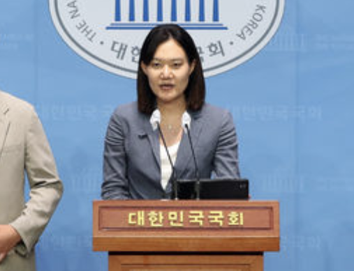 김남희 더불어민주당 혁신위 대변인