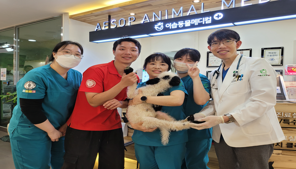 검은코 양 포차코 정형외과 진료 후 아라마루 담당사육사 선생님, 이솝 의료진과 함께 기념 촬영