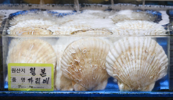 서울의 한 수산시장에 팜매되고 있는 일본산 가리비