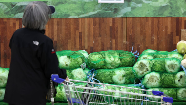 ▲ 서울 소재 유통매장에서 배추가 판매되고 있다. 사진=뉴시스