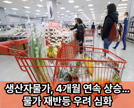 위클리오늘TV 쇼츠 영상 캡처