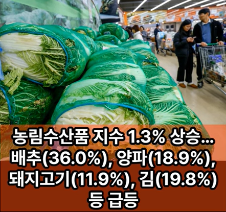 위클리오늘TV 쇼츠 영상 캡처