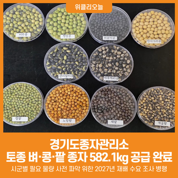 [위클리오늘] 경기도종자관리소, 토종 벼·콩·팥 종자 582.1kg 공급 완료