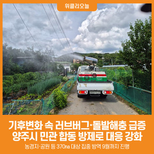 [위클리오늘] 기후변화 속 <b>러브버그</b>·돌발해충 급증… 양주시, 민관 합...