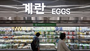 [위클리오늘] 조기 17%·망고 36% <b>폭등</b>…고<b>유가</b>·고환율에 장바구니 물가...