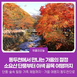 [위클리오늘] [기획] 동두천에서 만나는 가을의 절정…<b>소요산</b> 단풍부터...